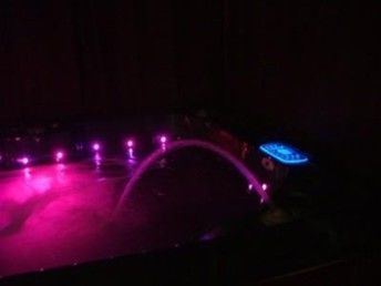 Exotic colors trailer